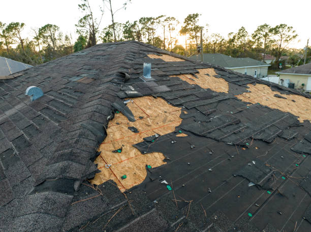 Best Solar Panel Roofing Installation  in Rockwood, VA